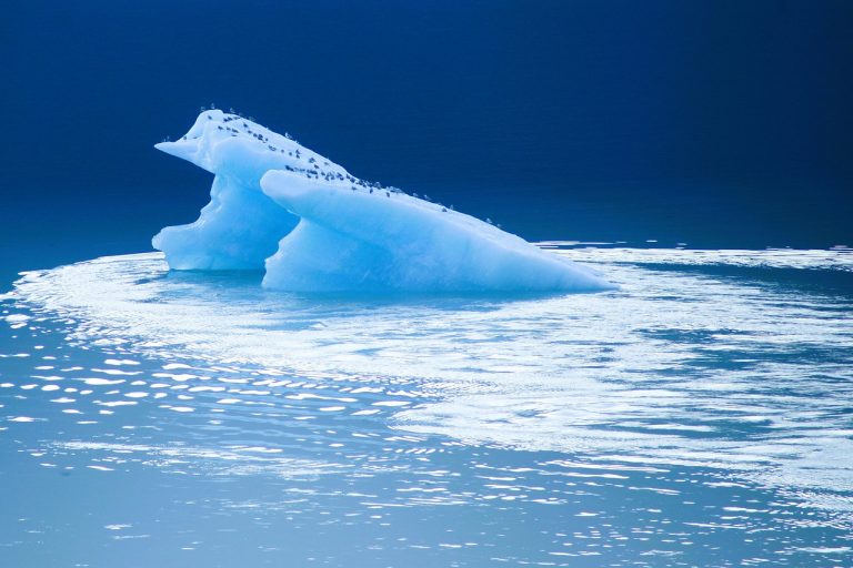glacier, sea, nature wallpaper, ocean, water, nature, nature background, iceberg, antarctica, blue, beautiful nature, cold, climate, hd wallpaper